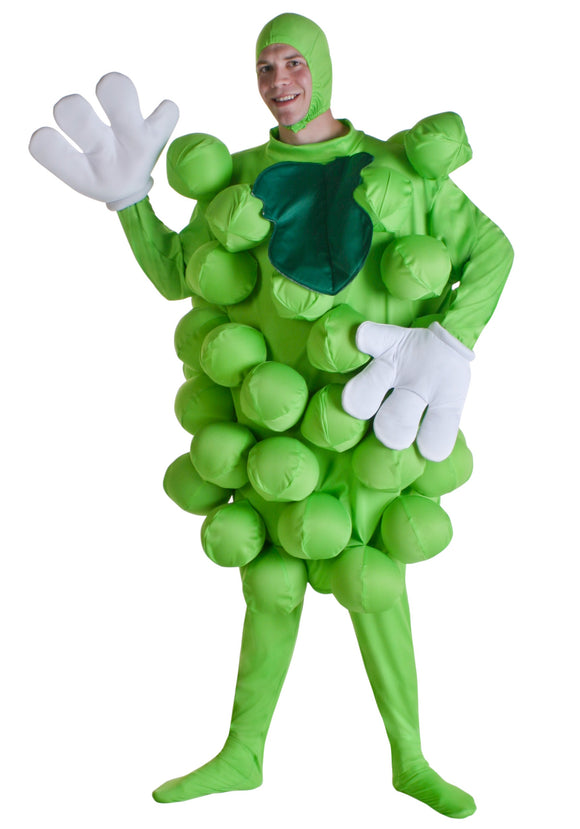 Green Grapes Costume