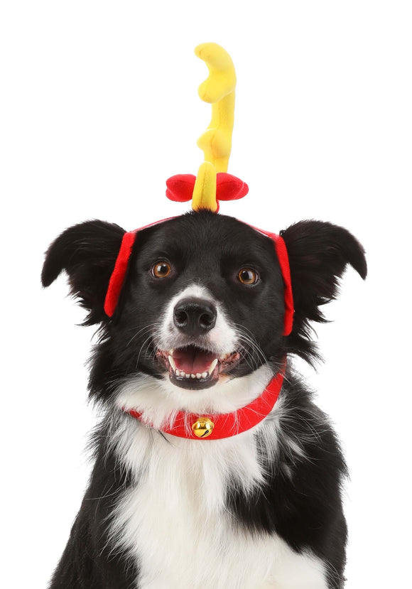 Grinch Max Dog Holiday Costume