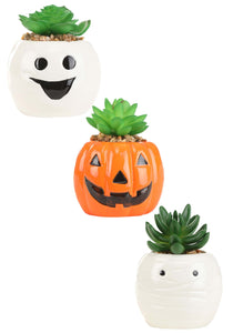 Halloween Succulent Planter Ghost, Pumpkin & Mummy Set