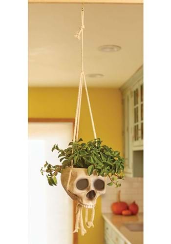 Bone Color Hanging Skull Planter