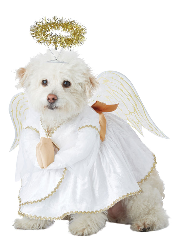 Pet Heavenly Hound Costume