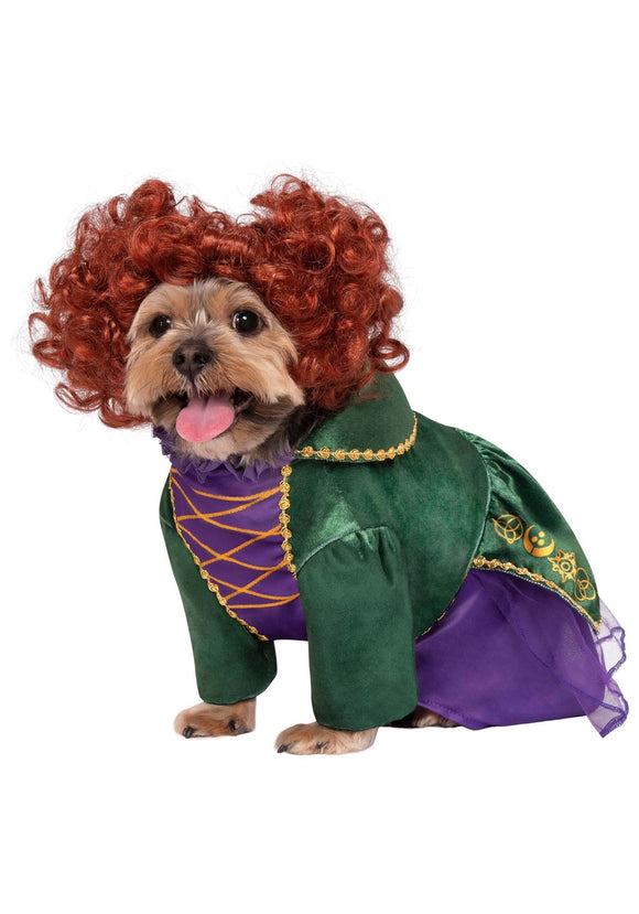 Disney Hocus Pocus Winifred Sanderson Dog Costume