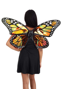 Holographic Monarch Butterfly Wings