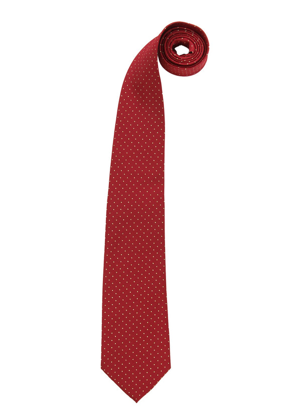 Jacob Kowalski Necktie from Fantastic Beasts and Where to Find Them