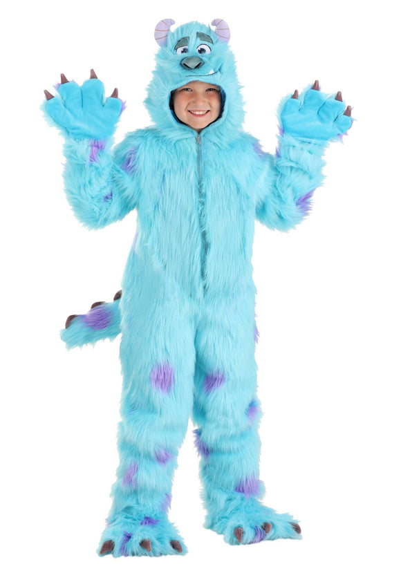 Hooded Monsters Inc Sulley Kid's Costume