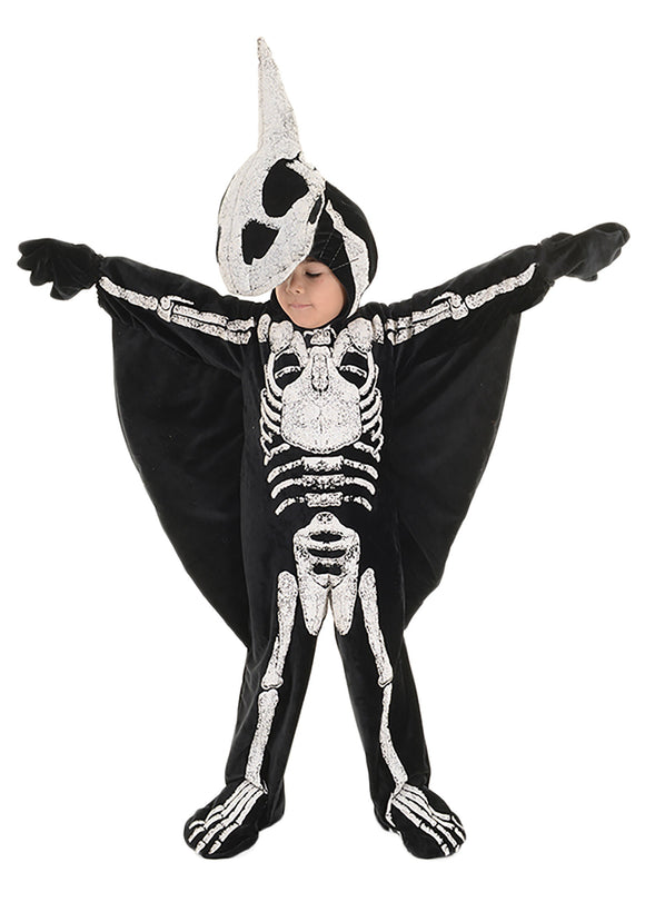 Toddler/Child Pterodactyl Fossil Costume for Boys