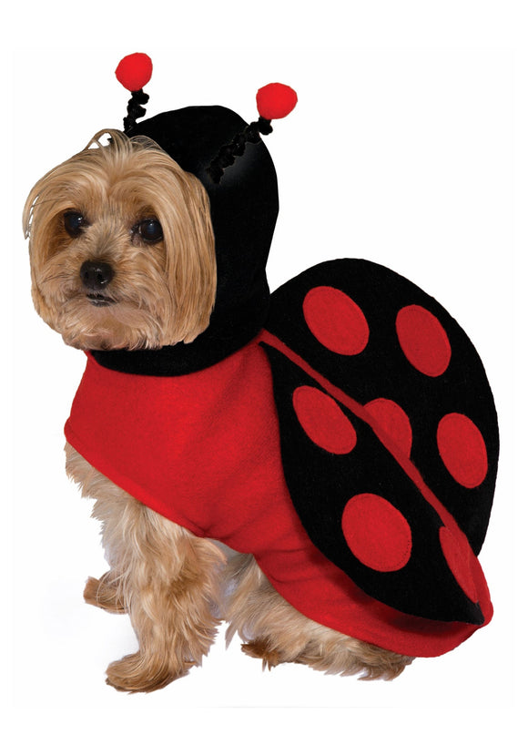 Dog Costume Ladybug