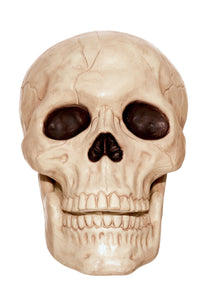 Large Skull