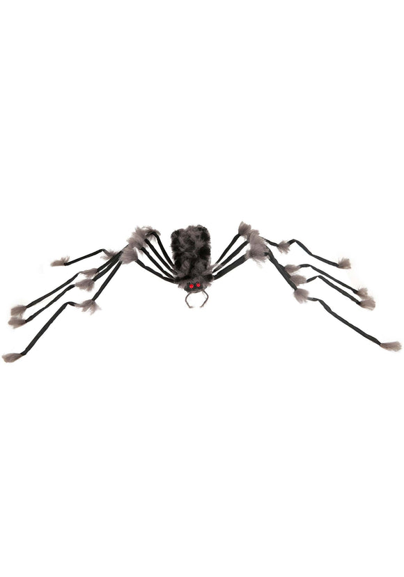 Large Hairy Gray Spider