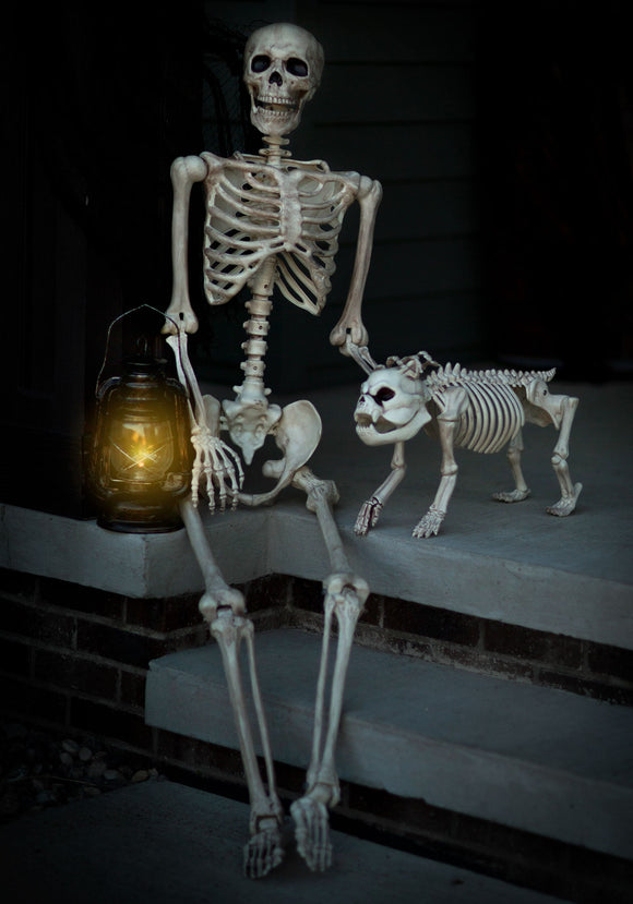 Poseable Realistic Skeleton Decoration
