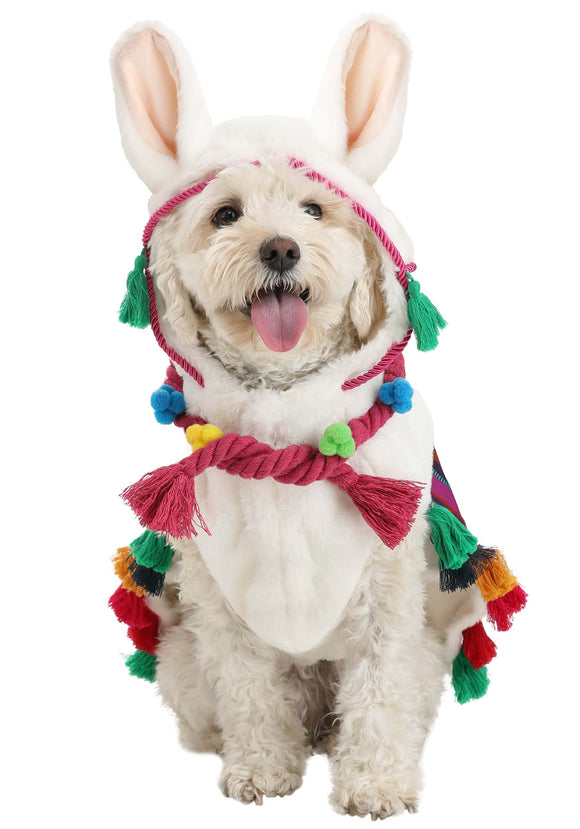 Dog Llama Costume