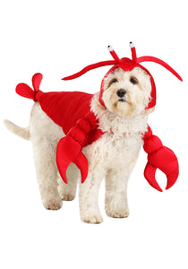 Lobster Costume for Dogs