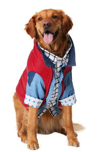 Marty McFly Dog Costume