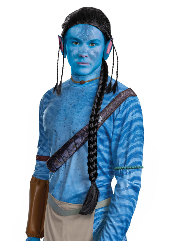 Avatar Deluxe Jake Men's Wig