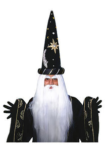 Merlin Wig and Beard Set