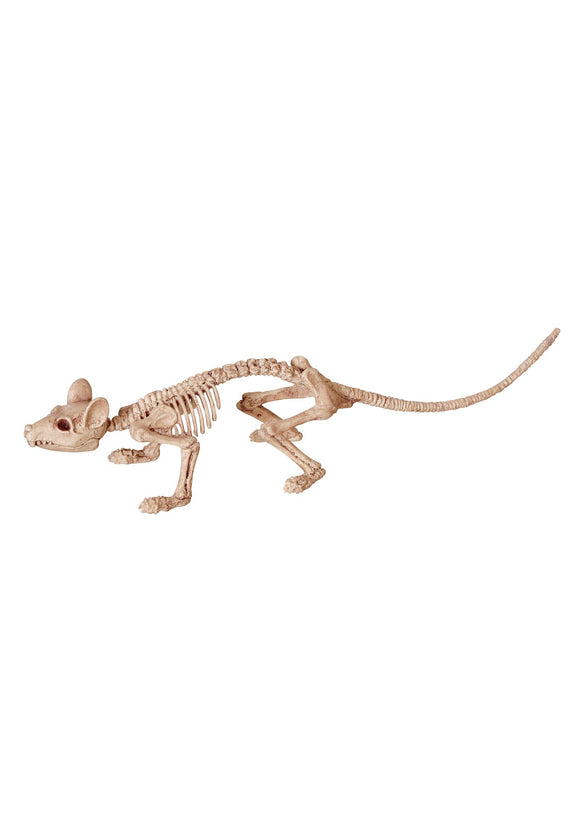 Mini Skeleton Rat