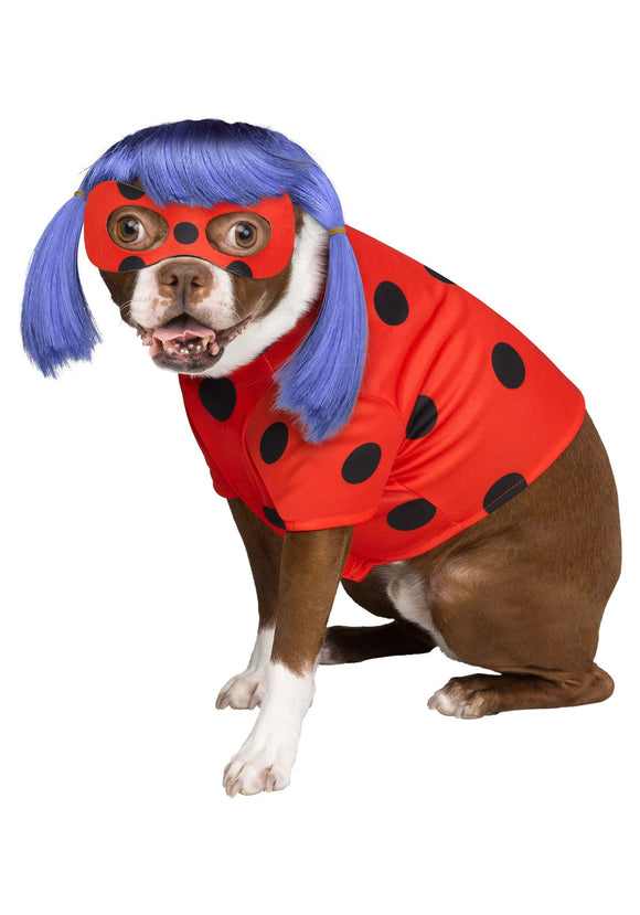 Pet Miraculous Ladybug Costume
