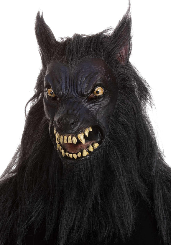 Moon Hunter Werewolf Adult Mask