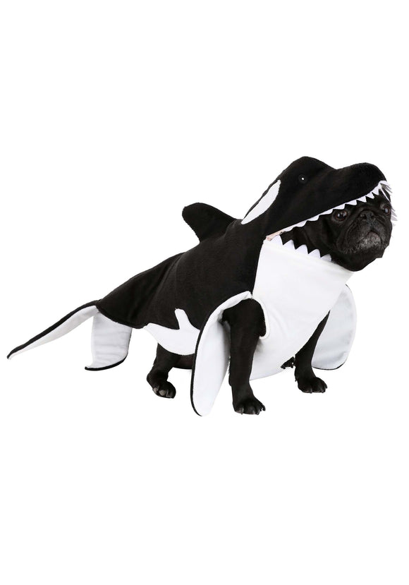 Orca Costume for Dog's