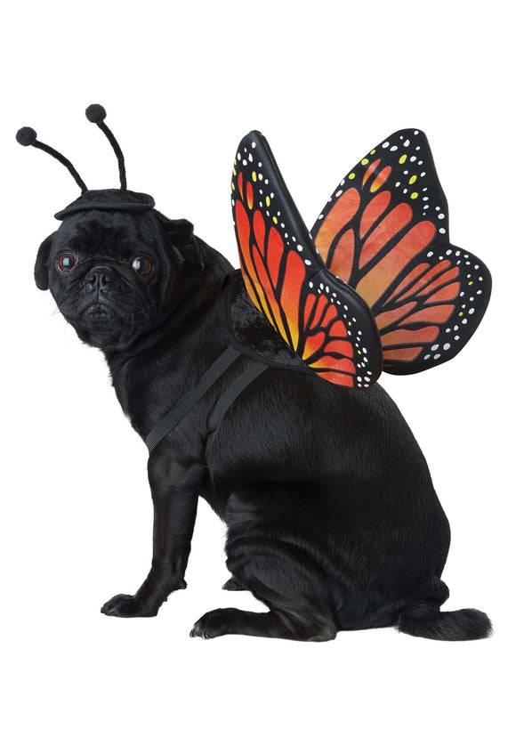 Pet Butterfly Costume