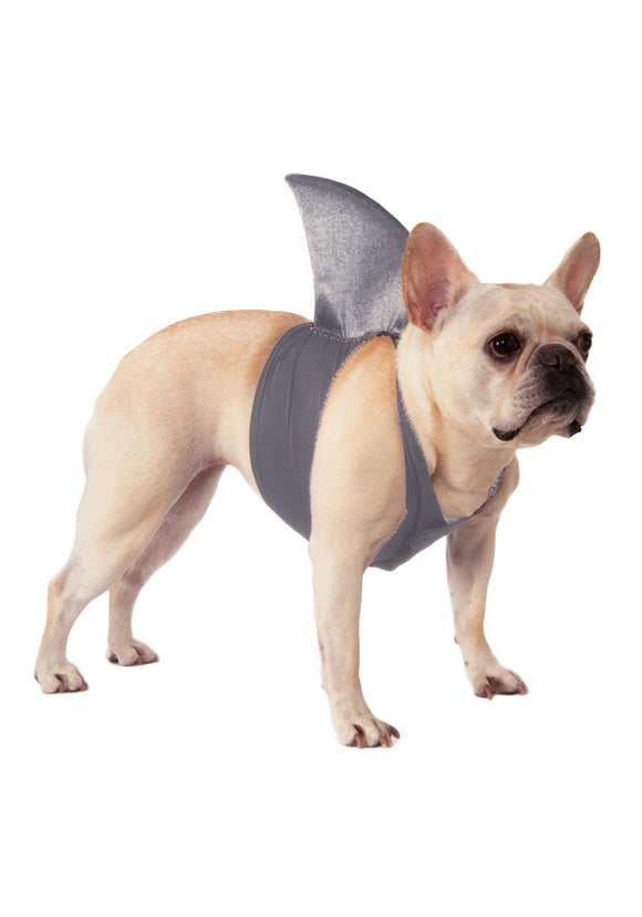 Shark Fin Pet Costume | Dog Fish Costume