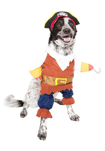 Pet Pirate Costume