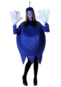 Plus Size Blueberry Costume