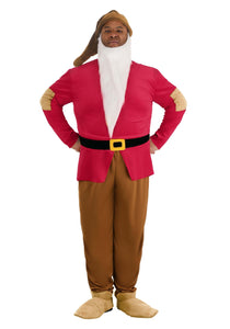 Plus Size Disney Grumpy Dwarf Costume