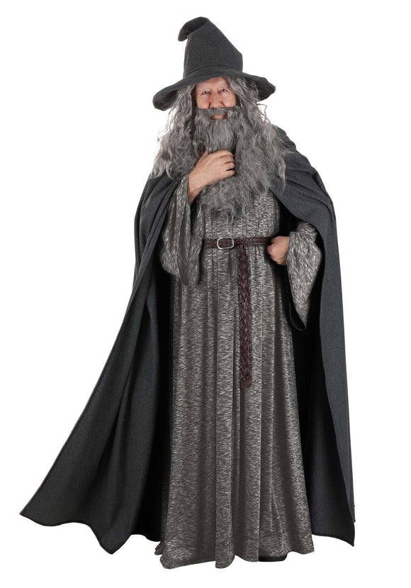 Plus Size Men's Gandalf Lord of the Rings Costume