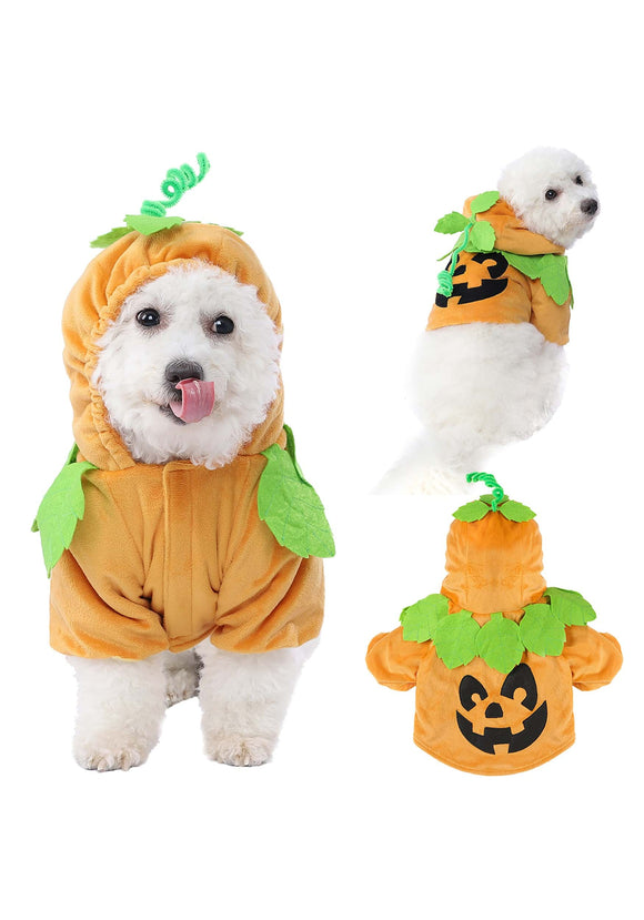 Pumpkin Dog Costume