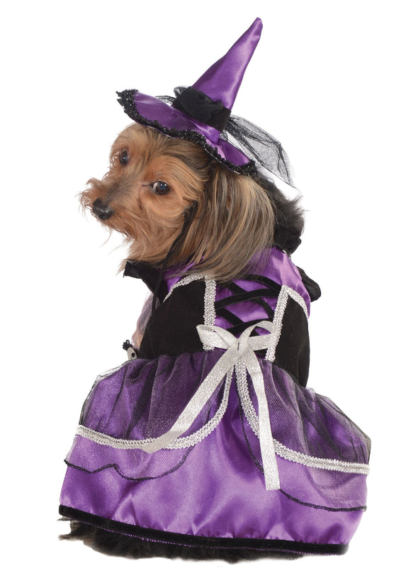 Purple Witch Costume for Dogs and Cats
