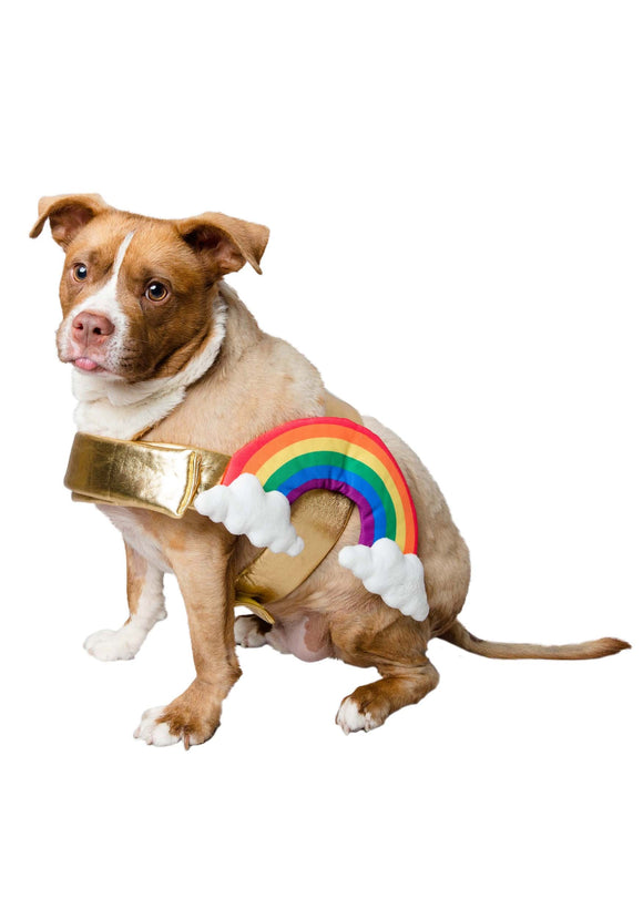 Rainbow Dog Costume