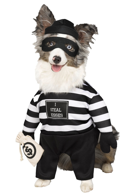 Pet Robber Pup Costume