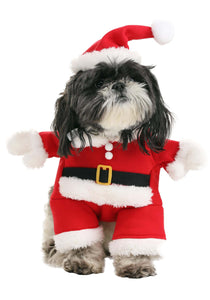 Santa Costume for Pets