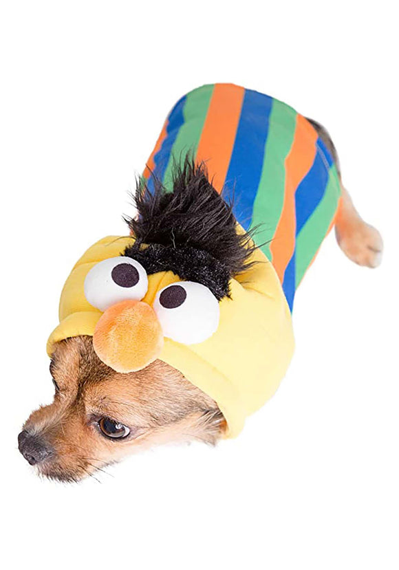 Bert Sesame Street Pet Costume