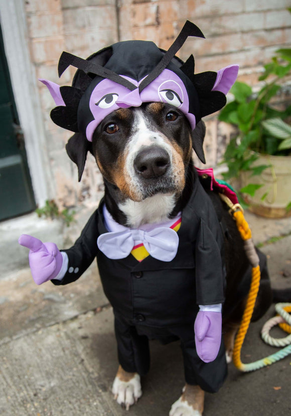 Sesame Street The Count Costume for Pet's