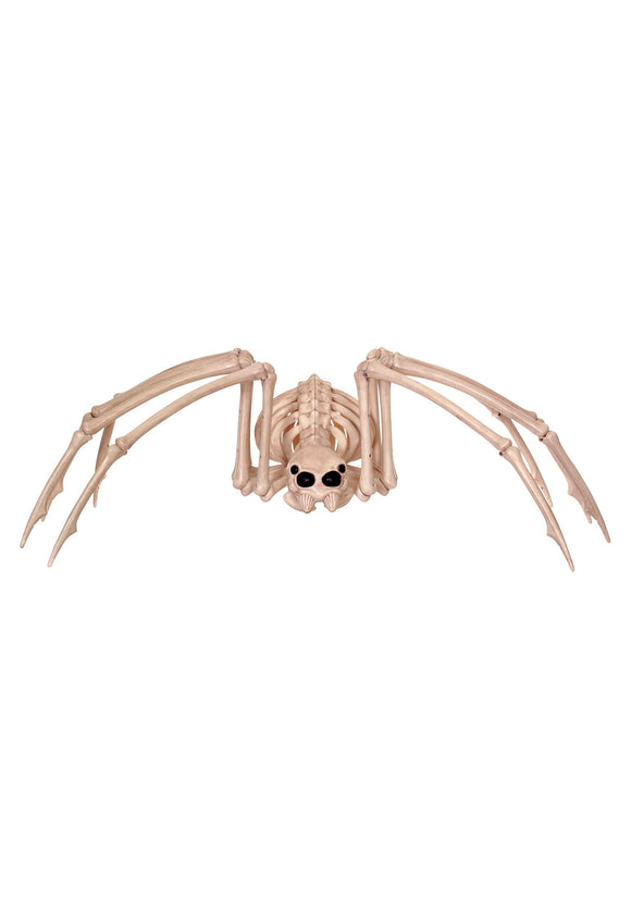 Skeleton Spider 42