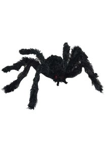 Hairy Small Black Spider