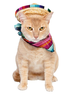 Pet Sombrero & Bandana Costume Set