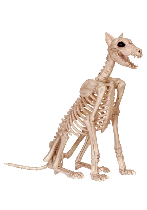 Spike Skeleton Dog