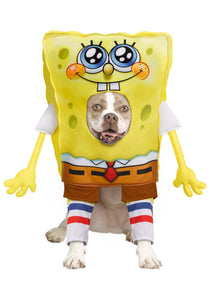 SpongeBob SquarePants Dog Costume