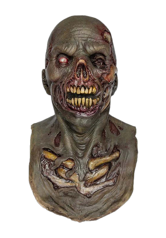 Stench Zombie Adult Mask