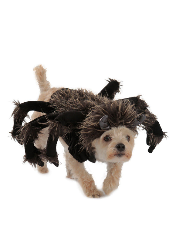 Tarantula Dog Costume