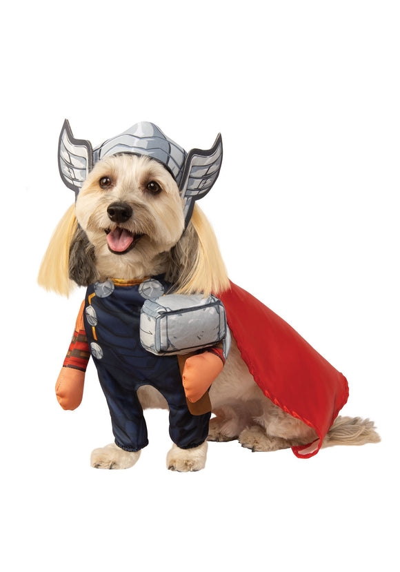 Pet Thor Costume