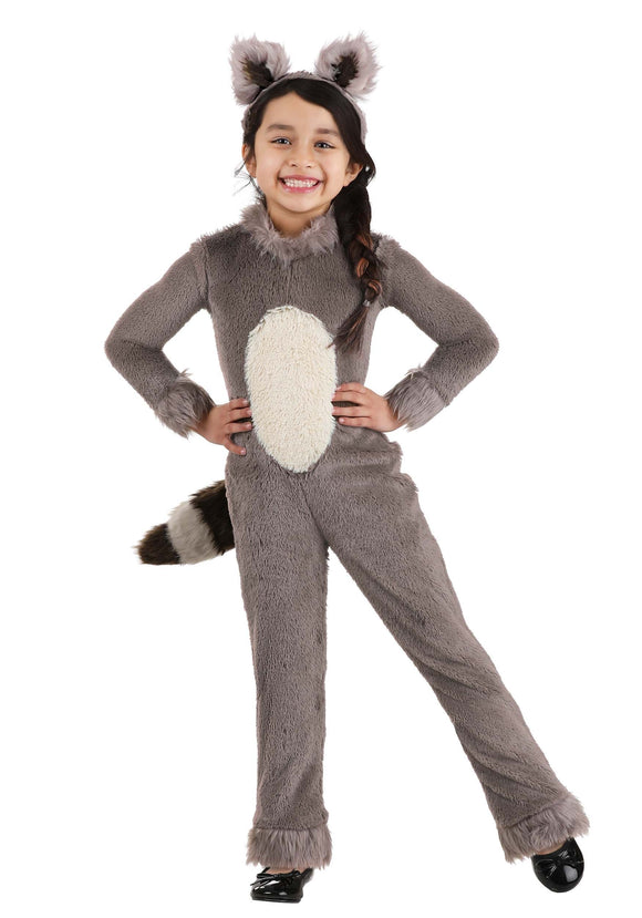 Girl's Raccoon Toddler Costume