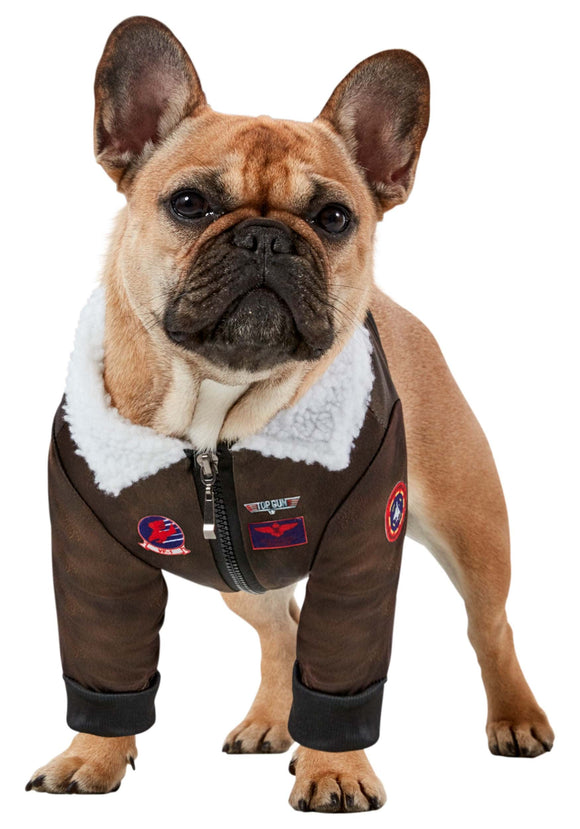 Top Gun Pet Costume