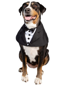 Pet Tuxedo Costume