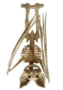 Upside Down Hanging Skeleton Bat