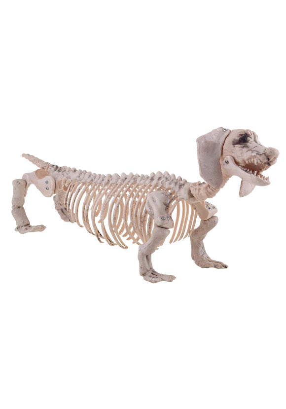 Weiner Dog Skeleton Halloween Decor