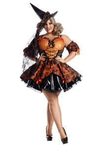 Harvest Witch Women's Plus Size Costume